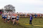 Senior mens North Eastern Cross Country, Aykley Heads, Durham. Photo: David T. Hewitson/Sports for All Pics